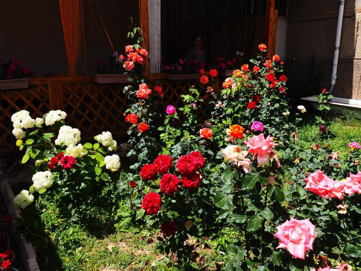Baktygul Guesthouse Naryn Dış mekan fotoğraf